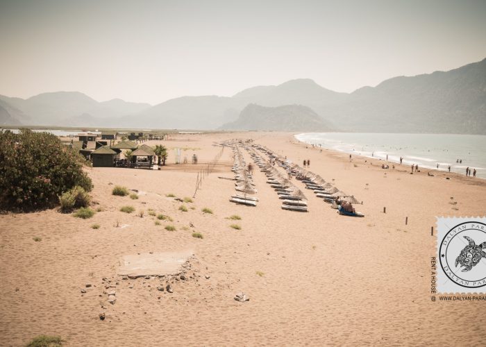 Iztuzu Beach